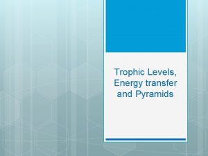 Trophic Levels Energy transfer and Pyramids Vocabulary Trophic