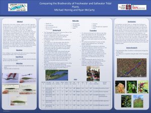 Comparing the Biodiversity of Freshwater and Saltwater Tidal