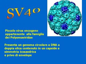 Piccolo virus oncogeno appartenente alla famiglia dei Polyomaviridae