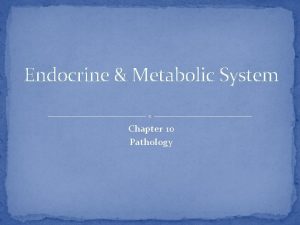 Endocrine Metabolic System Chapter 10 Pathology The Endocrine