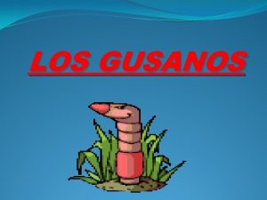 LOS GUSANOS QU SON Los gusanos son animales