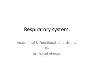 Respiratory system Anatomical Functional subdivisions By Dr Suhail