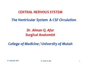 CENTRAL NERVOUS SYSTEM The Ventricular System CSF Circulation