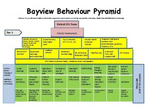 Bayview Behaviour Pyramid Mission To provide each student