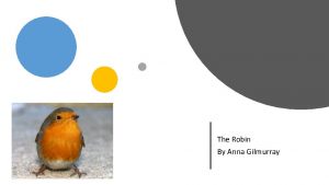 The Robin By Anna Gilmurray Where a Robin