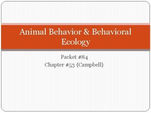 Animal Behavior Behavioral Ecology Packet 84 Chapter 53