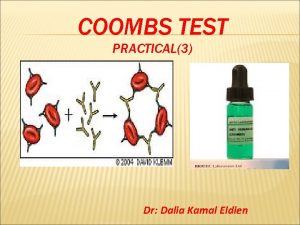 COOMBS TEST PRACTICAL3 Dr Dalia Kamal Eldien THE