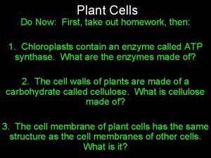 Plant Cells Do Now First take out homework