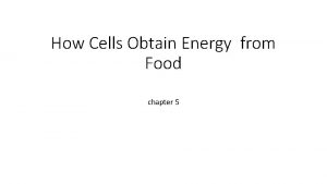 How Cells Obtain Energy from Food chapter 5