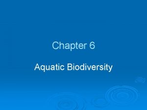 Chapter 6 Aquatic Biodiversity Chapter Overview Questions What