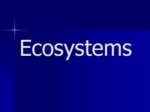 Ecosystems What is a Ecosystem n An ecosystem