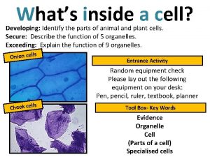 Whats inside a cell Developing Identify the parts