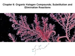 Chapter 6 Organic Halogen Compounds Substitution and Elimination