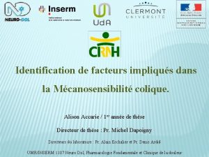 Identification de facteurs impliqus dans la Mcanosensibilit colique