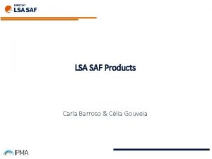 LSA SAF Products Carla Barroso Clia Gouveia LAND
