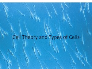 Cell Theory and Types of Cells Cells Smallest