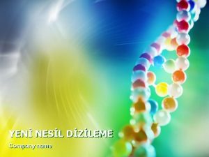 YEN NESL DZLEME Company name NGStarihe nsan genom