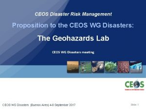CEOS Disaster Risk Management Proposition to the CEOS