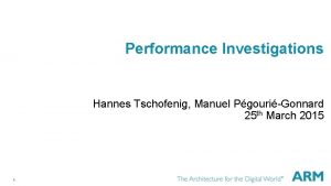 Performance Investigations Hannes Tschofenig Manuel PgouriGonnard 25 th