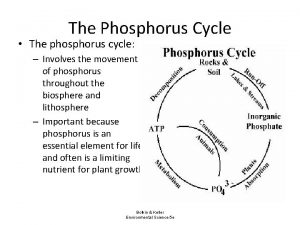 The Phosphorus Cycle The phosphorus cycle Involves the