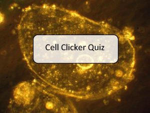 Cell Clicker Quiz Question 1 Does your clicker