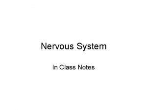 Nervous System In Class Notes Function Divisions Functions