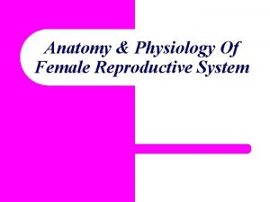 Anatomy Physiology Of Female Reproductive System Learning Objectives