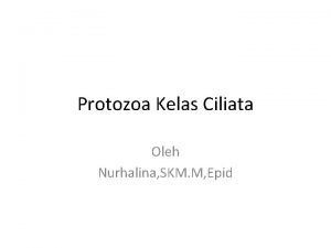 Protozoa Kelas Ciliata Oleh Nurhalina SKM M Epid