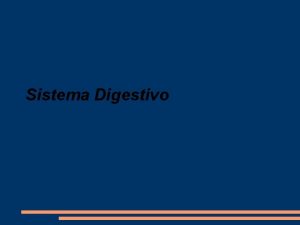 Sistema Digestivo Como constitudo o sistema digestivo do