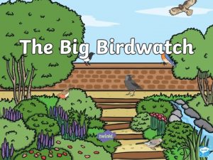 The Big Birdwatch is taking place from the