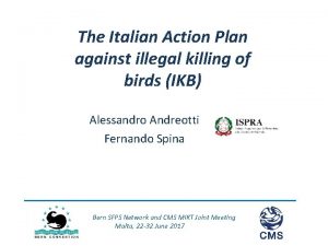 The Italian Action Plan against illegal killing of