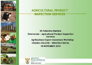 AGRICULTURAL PRODUCT INSPECTION SERVICES Ms Salamina Maelane Directorate