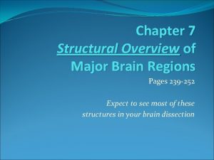 Chapter 7 Structural Overview of Major Brain Regions