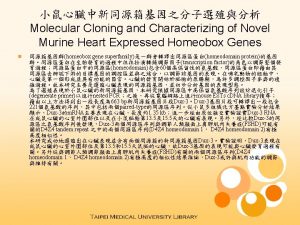 n The genes of homeobox gene superfamily encode