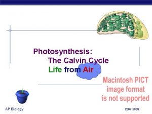 Photosynthesis The Calvin Cycle Life from Air AP