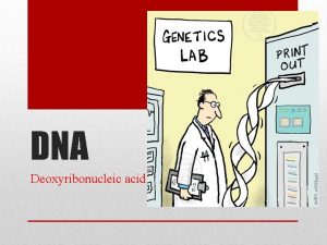 DNA Deoxyribonucleic acid DNA comes from chromosomes Base