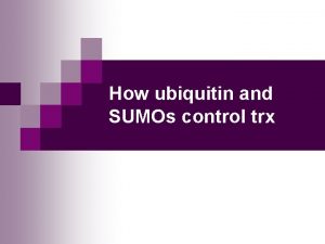 How ubiquitin and SUMOs control trx MBV 4230