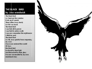 THE BLACK BIRDy by Jace woodwick The black