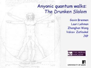 Anyonic quantum walks The Drunken Slalom Gavin Brennen