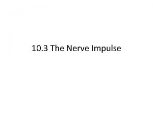 10 3 The Nerve Impulse Learning Objectives To
