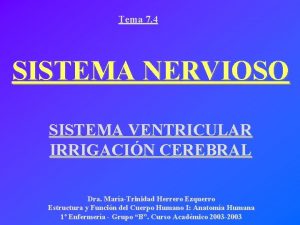 Tema 7 4 SISTEMA NERVIOSO SISTEMA VENTRICULAR IRRIGACIN