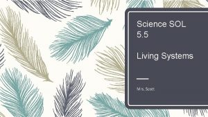 Science SOL 5 5 Living Systems Mrs Scott