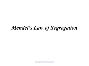 Mendels Law of Segregation www assignmentpoint com Georg
