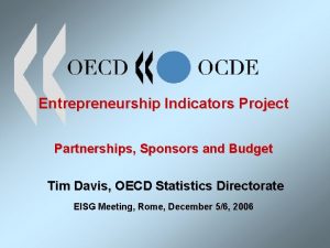 Entrepreneurship Indicators Project Partnerships Sponsors and Budget Tim