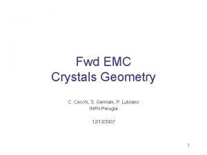 Fwd EMC Crystals Geometry C Cecchi S Germani