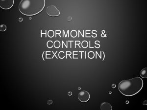 HORMONES CONTROLS EXCRETION MAIN IDEAS ADRENAL GLANDS ANTERIOR