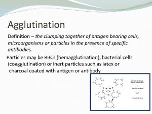 Agglutination Definition the clumping together of antigen bearing