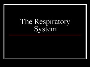 The Respiratory System Primary Function of Respiratory System