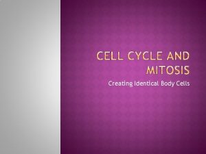 Creating Identical Body Cells All cells come from
