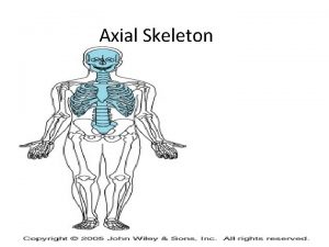 Axial Skeleton Vertebral Column Spine supports the skull